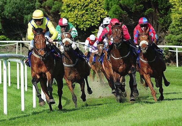 Clonmel Races