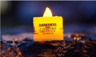 Darkness into light 2016