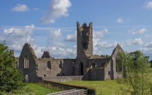 Medieval Abbey, Kilmallock