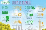 Bloom in Numbers.