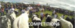 Tullamore Show 2015